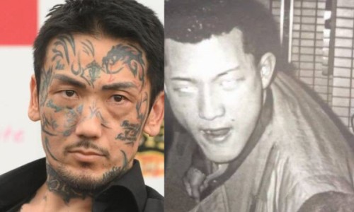 花红片的功效与禁忌-花红片主治什么病网 - 为你提供花红片主要治什么妇科病、花红片怎么吃效果好