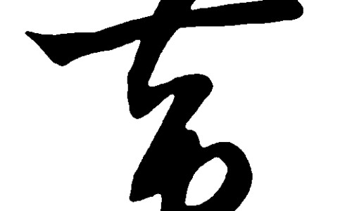花红片主治什么病网 - 为你提供花红片主要治什么妇科病、花红片怎么吃效果好