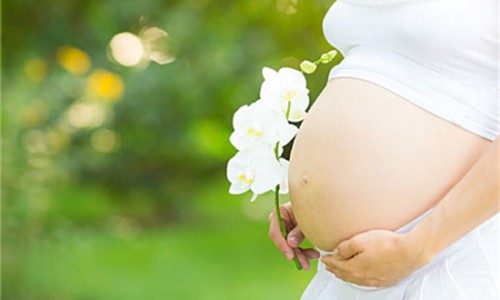 花红片主治什么病网 - 为你提供花红片主要治什么妇科病、花红片怎么吃效果好