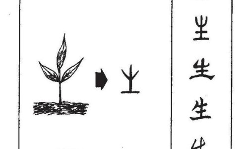 花红片主要治什么妇科病-花红片主治什么病网 - 为你提供花红片主要治什么妇科病、花红片怎么吃效果好
