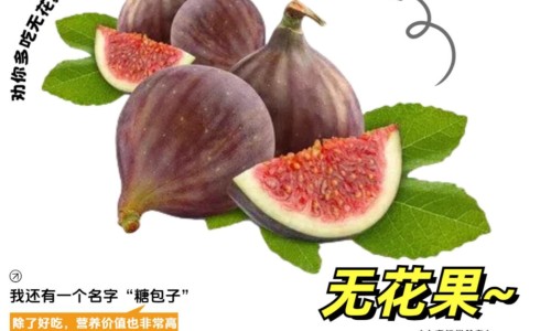 花红片效果好吗-花红片主治什么病网 - 为你提供花红片主要治什么妇科病、花红片怎么吃效果好