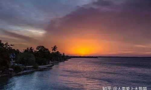 花红片主治什么病网 - 为你提供花红片主要治什么妇科病、花红片怎么吃效果好